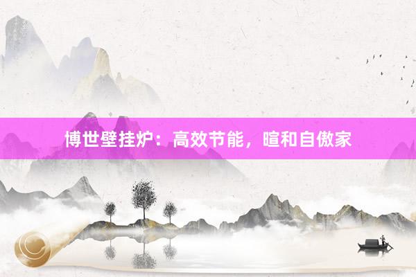 博世壁挂炉：高效节能，暄和自傲家