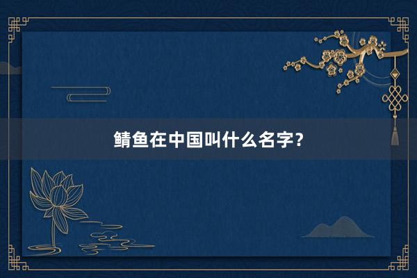 鲭鱼在中国叫什么名字？